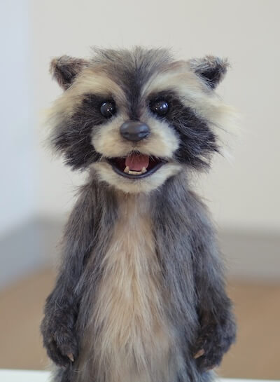 racoon puppet
